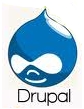 Drupal Icon