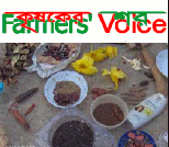 Farmers Voice Logo