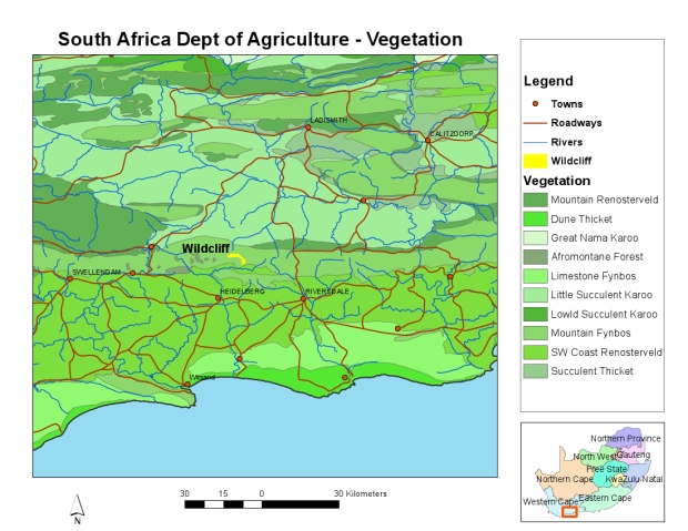 regional vegetation map